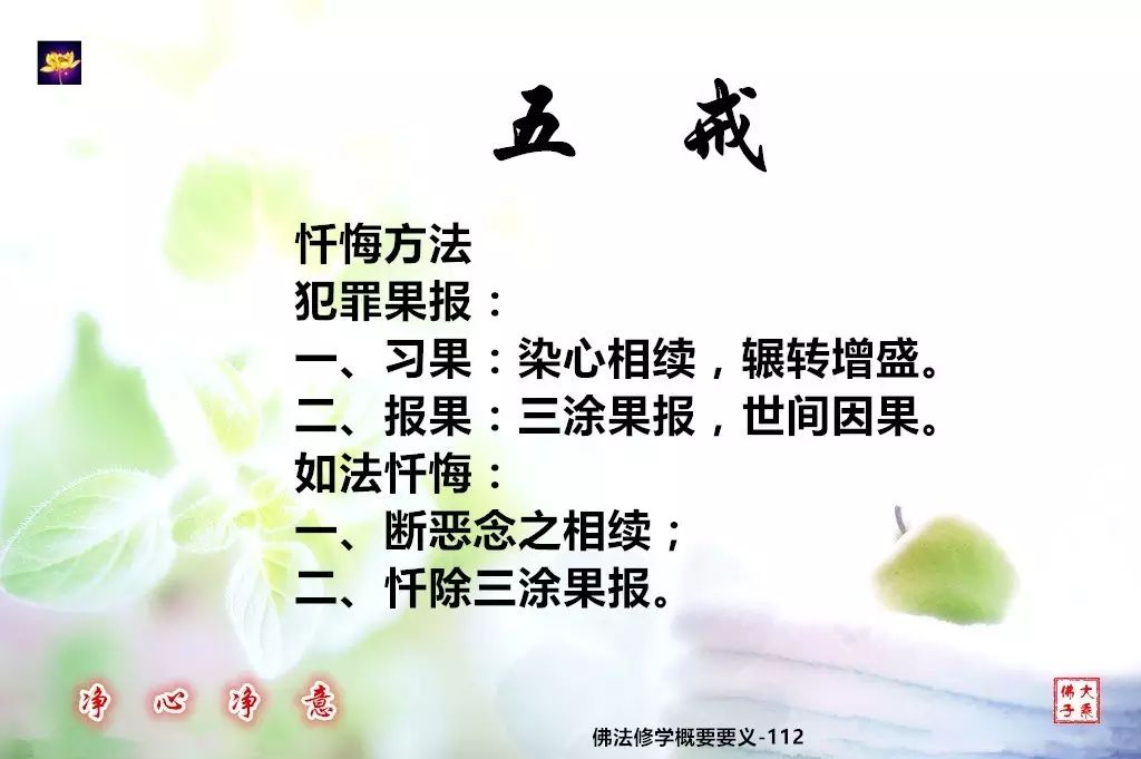 佛法修學概要113