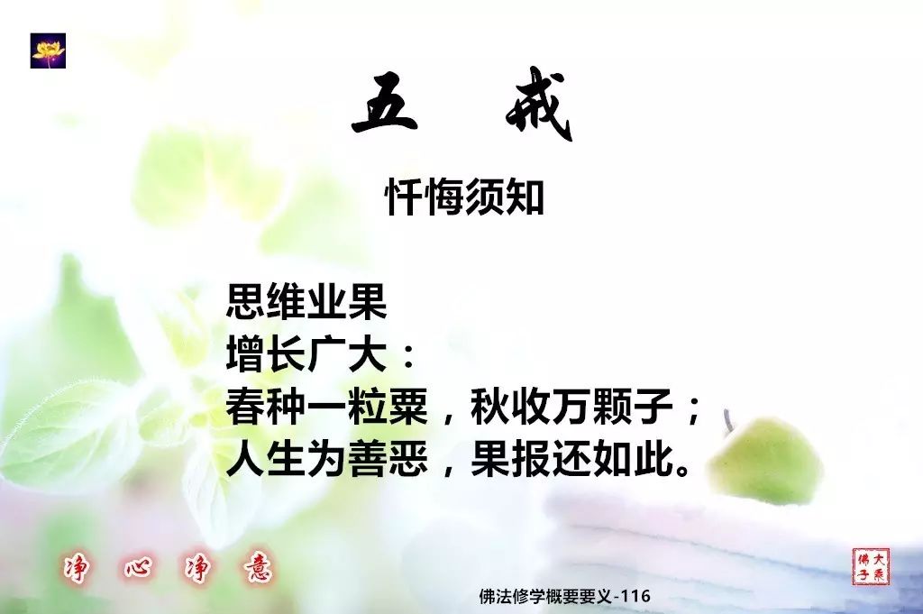 佛法修學概要117