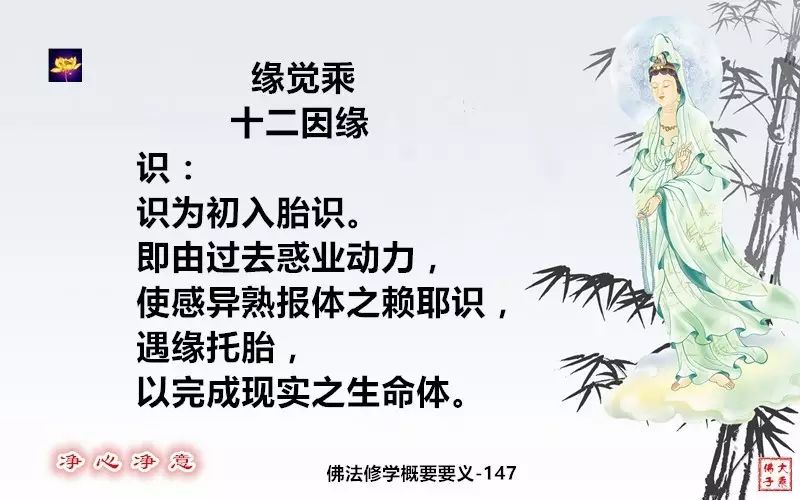 佛法修學概要148