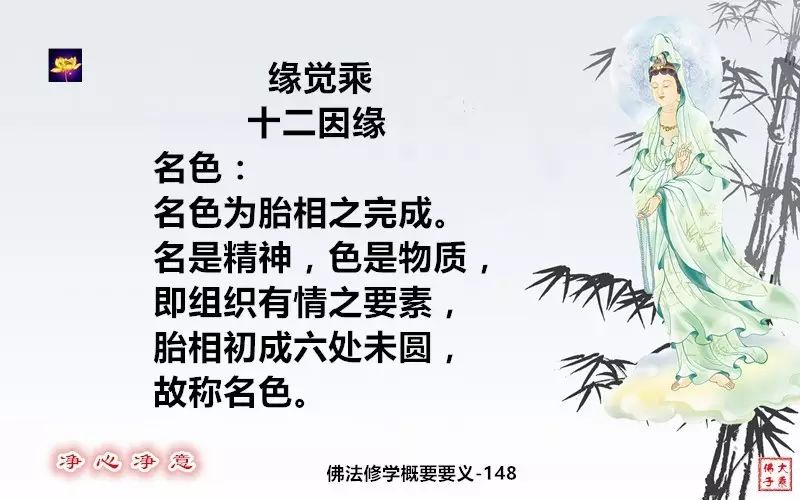 佛法修學概要149