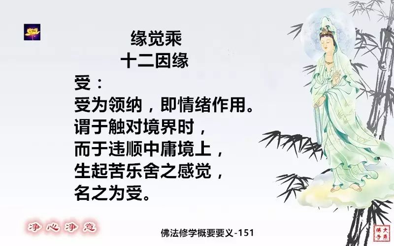 佛法修學概要152