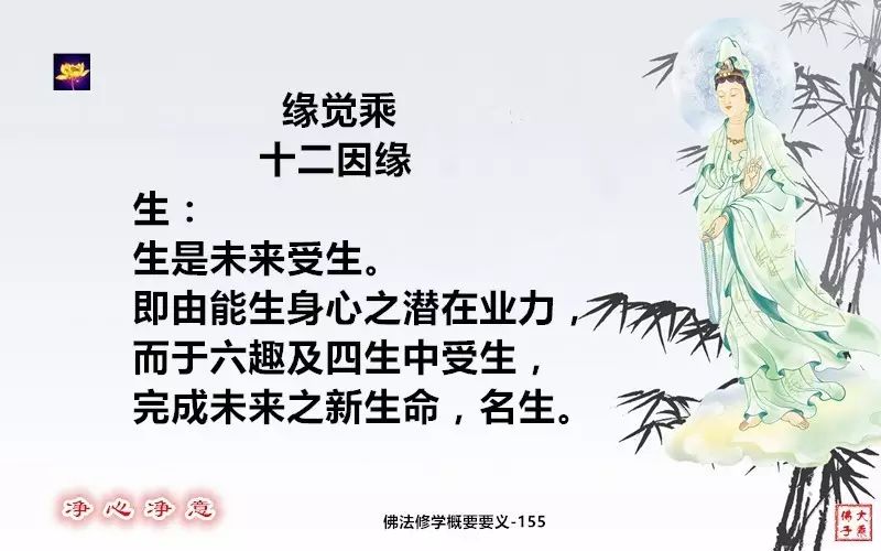 佛法修學概要156