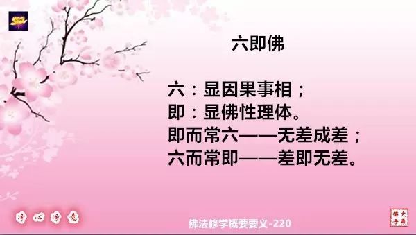 佛法修學概要221