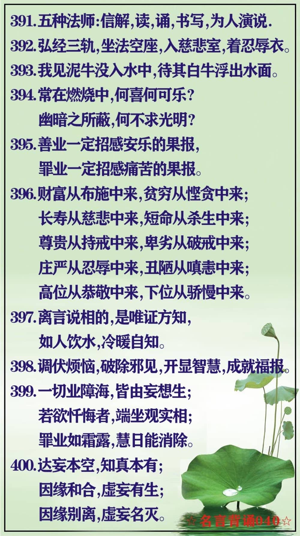 ���Ա���40