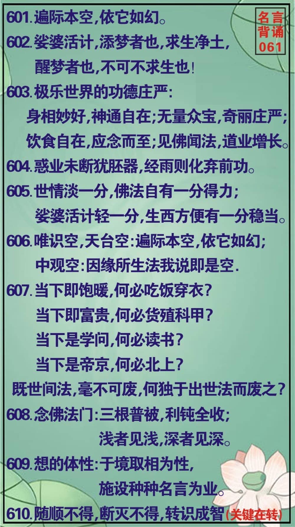 ���Ա���61