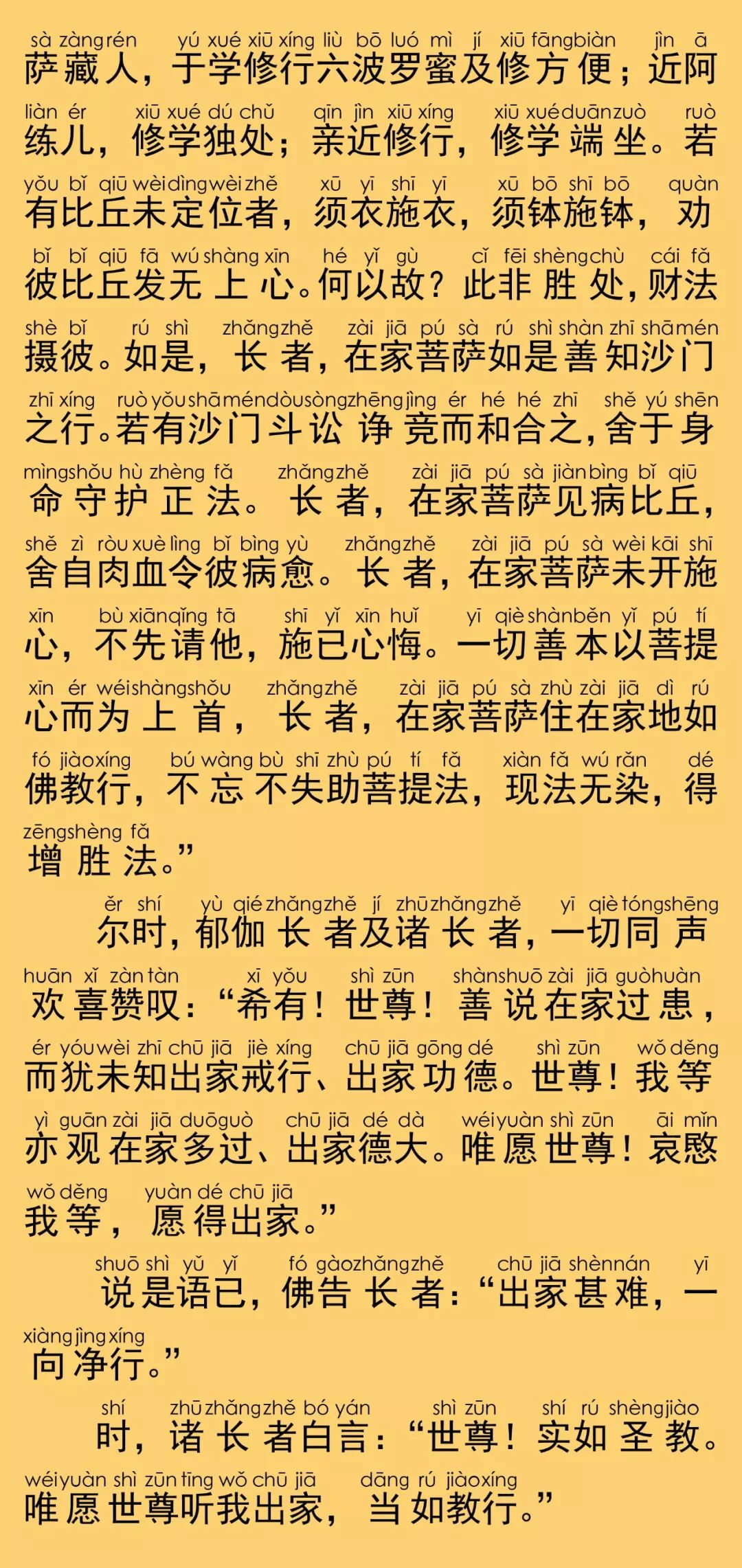 大寶積經陏伽長者會29