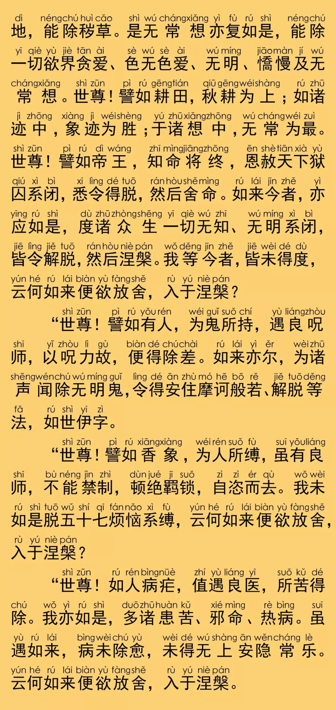 大般涅槃經卷第二30