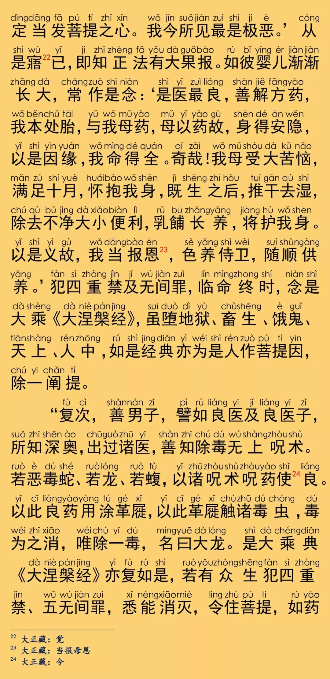 大般涅槃經卷第九23