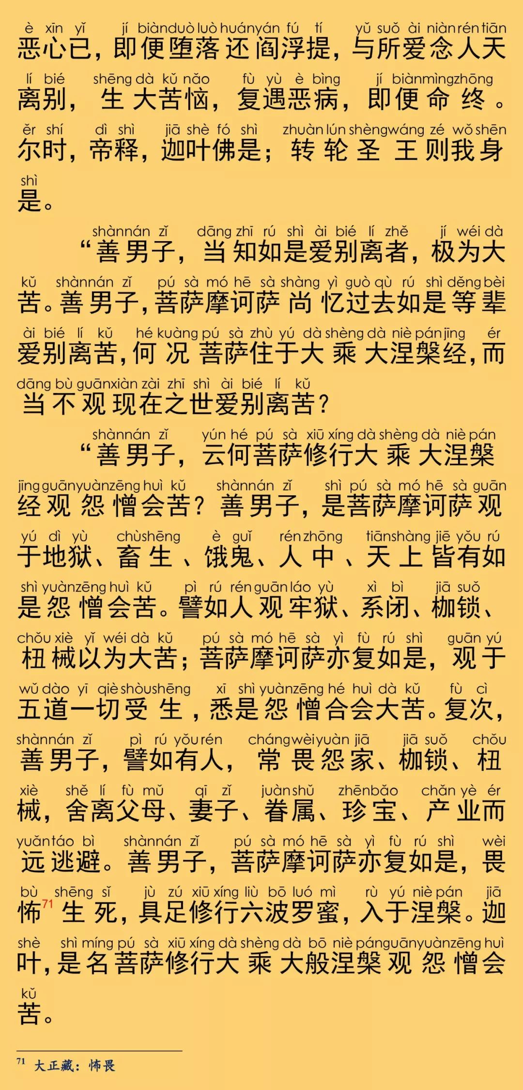 大般涅槃經卷第十一41