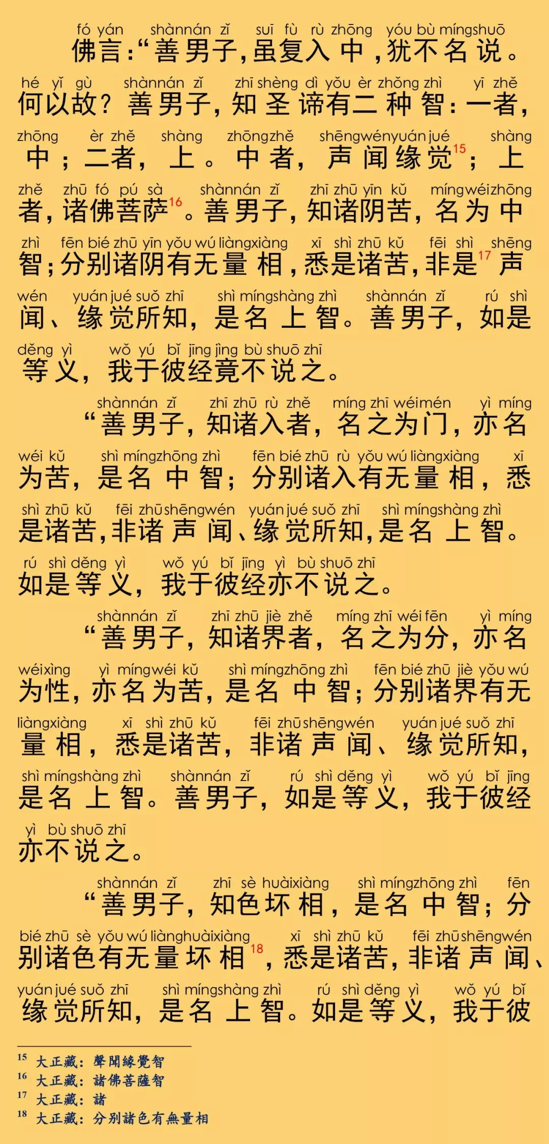 大般涅槃經卷第十二17