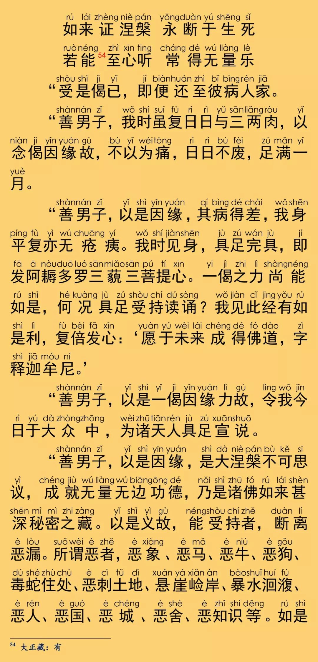 大般涅槃經卷第二十25