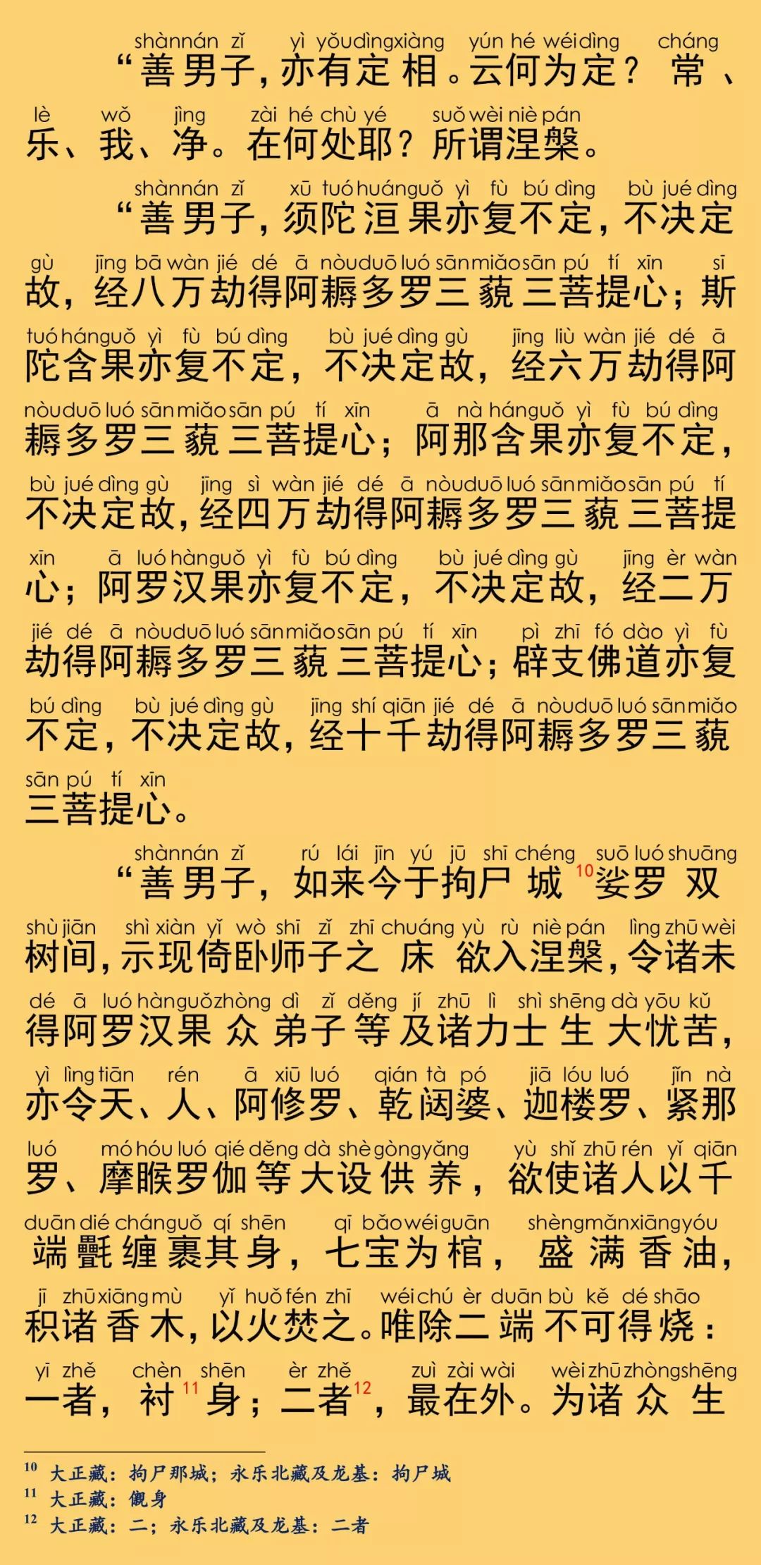 大般涅槃經卷第二十9