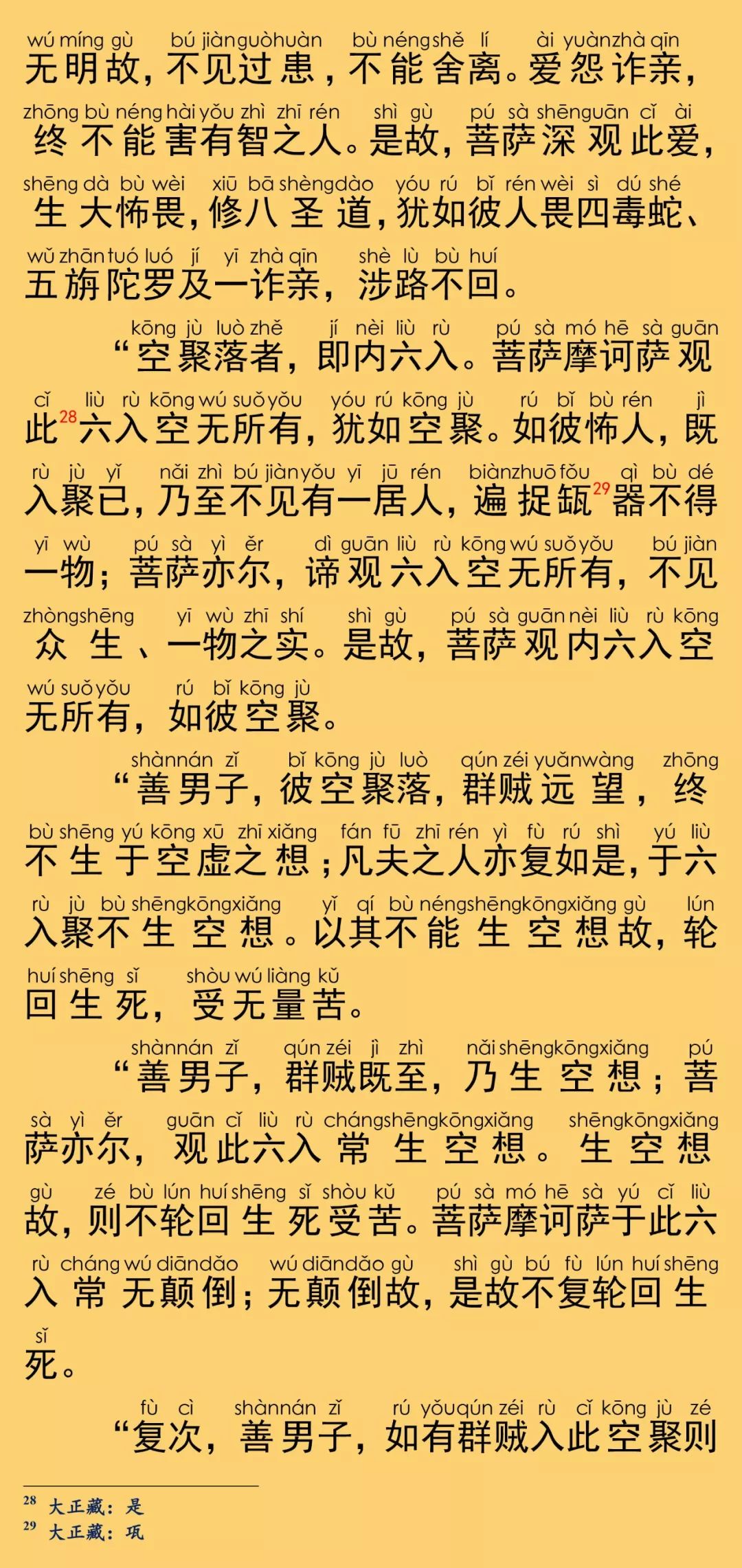 大般涅槃經卷第二十一13