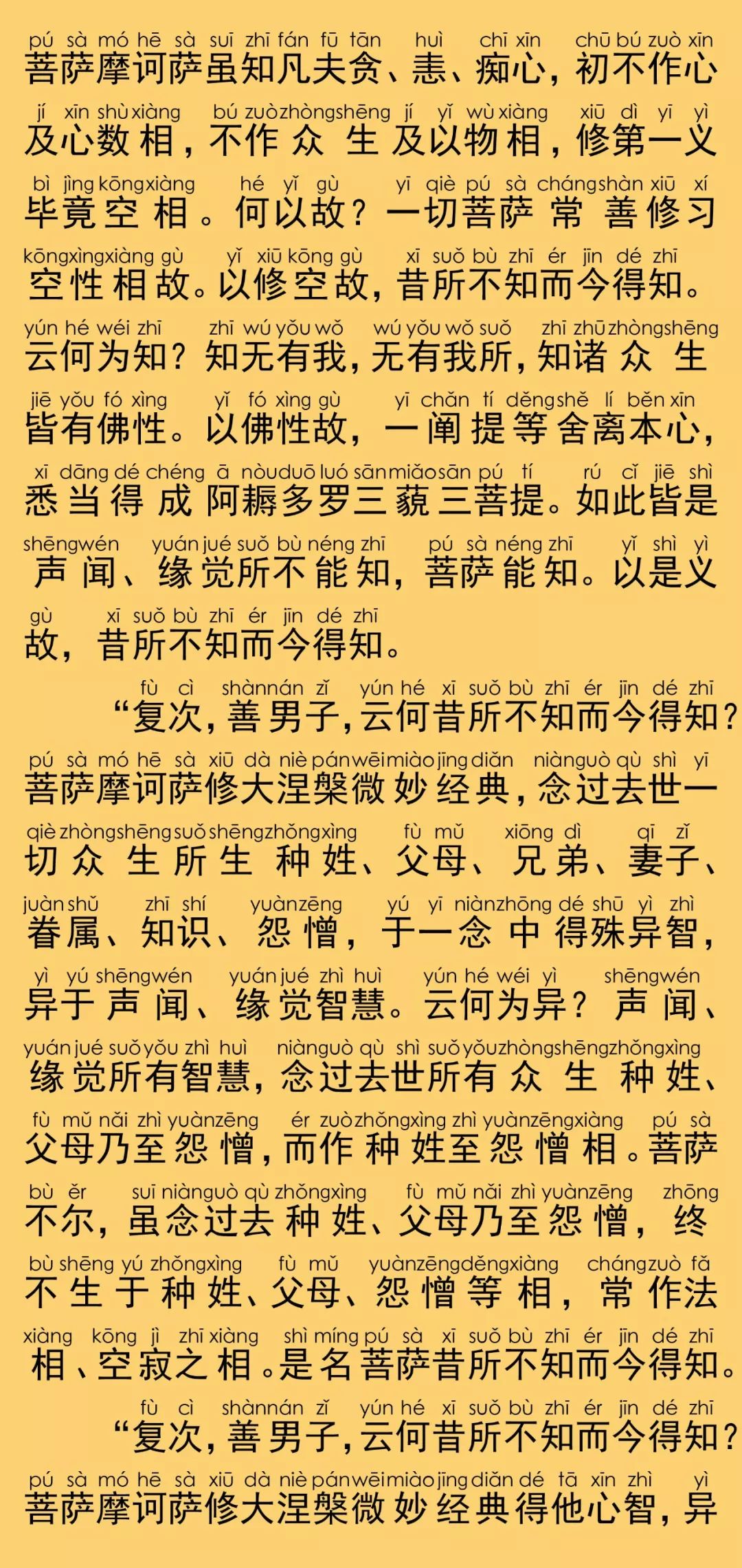 大般涅槃經卷第二十二14