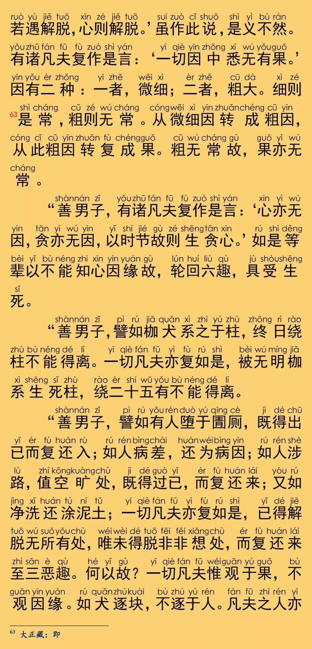 大般涅槃經卷第二十三35