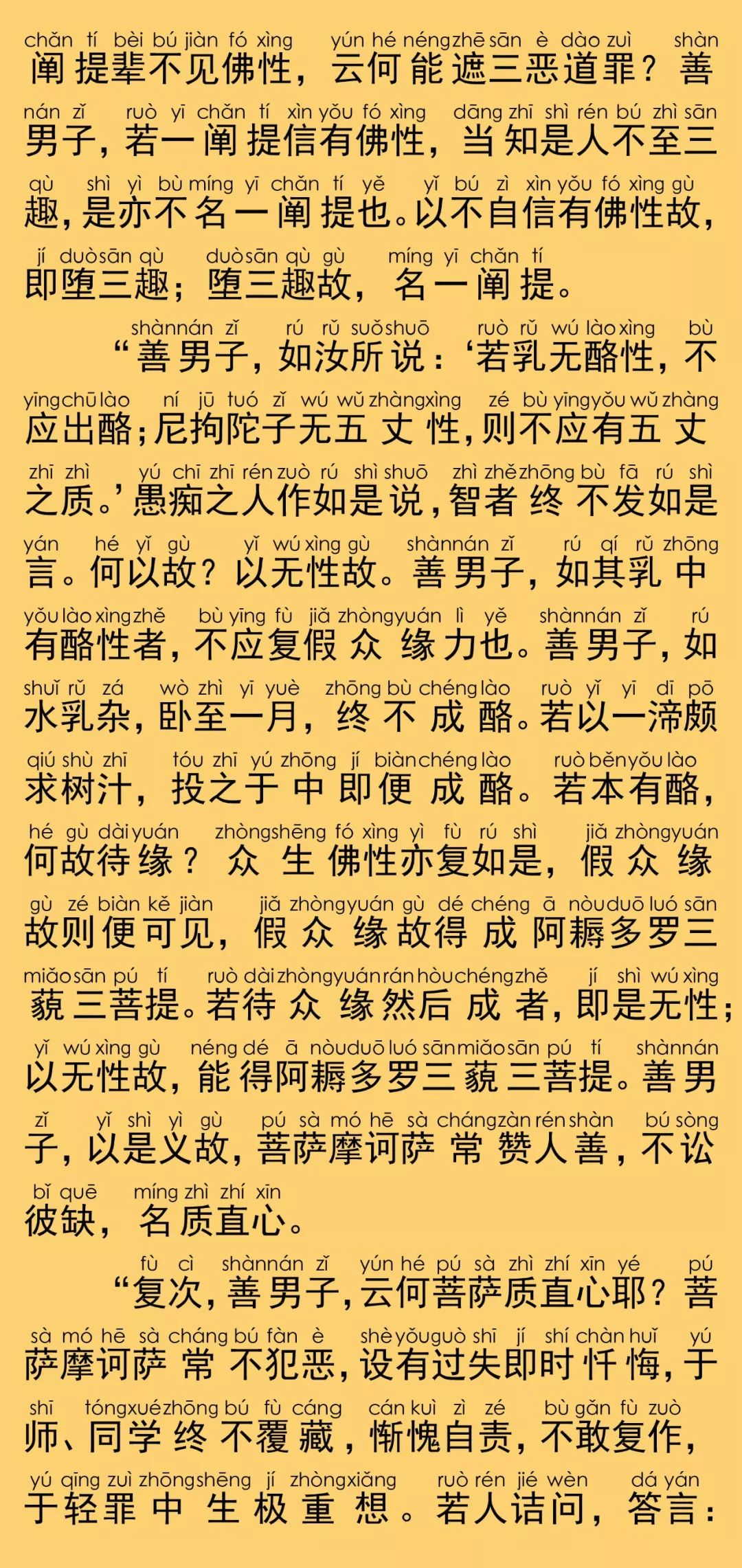 大般涅槃經卷第二十四14