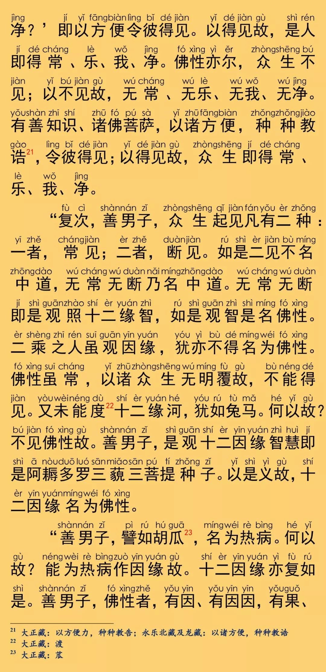 大般涅槃經卷第二十五13