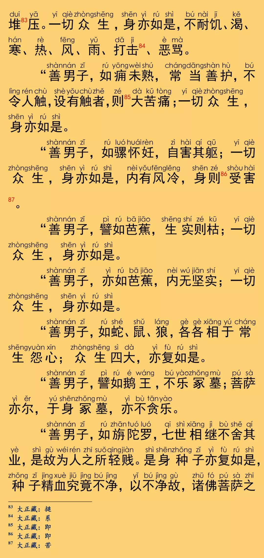 大般涅槃經卷第二十九32