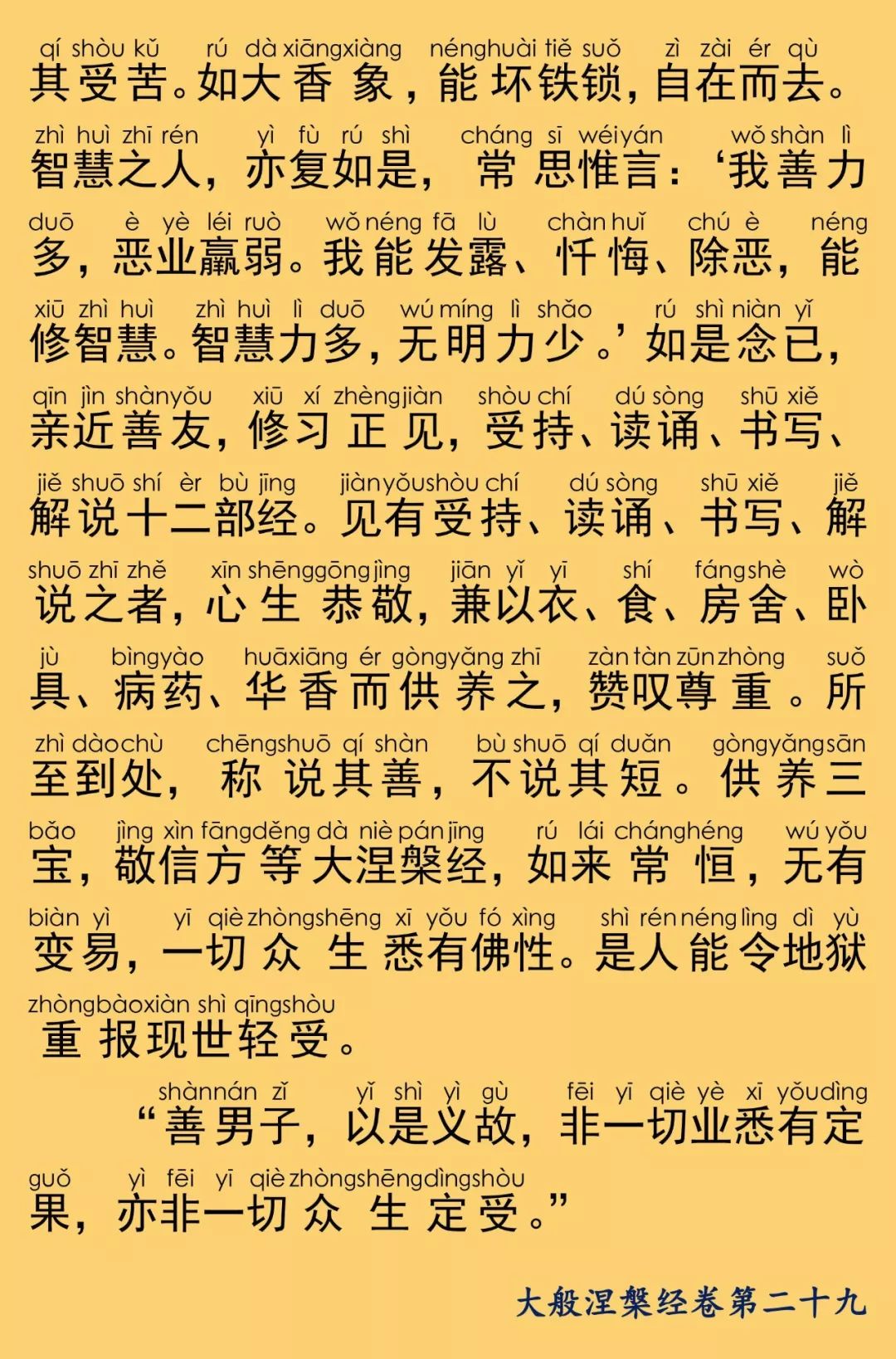 大般涅槃經卷第二十九38