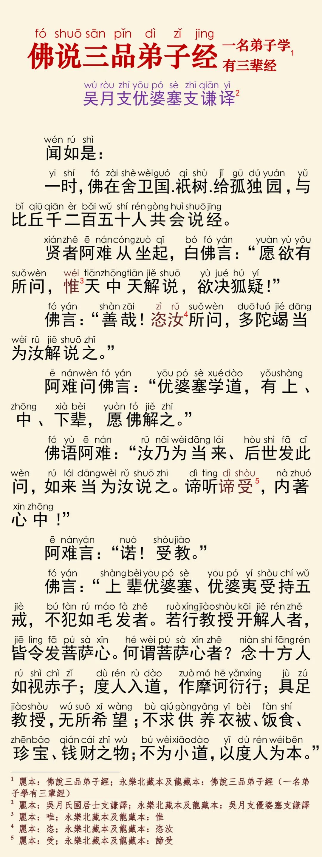 ��Ʒ���Ӿ�5