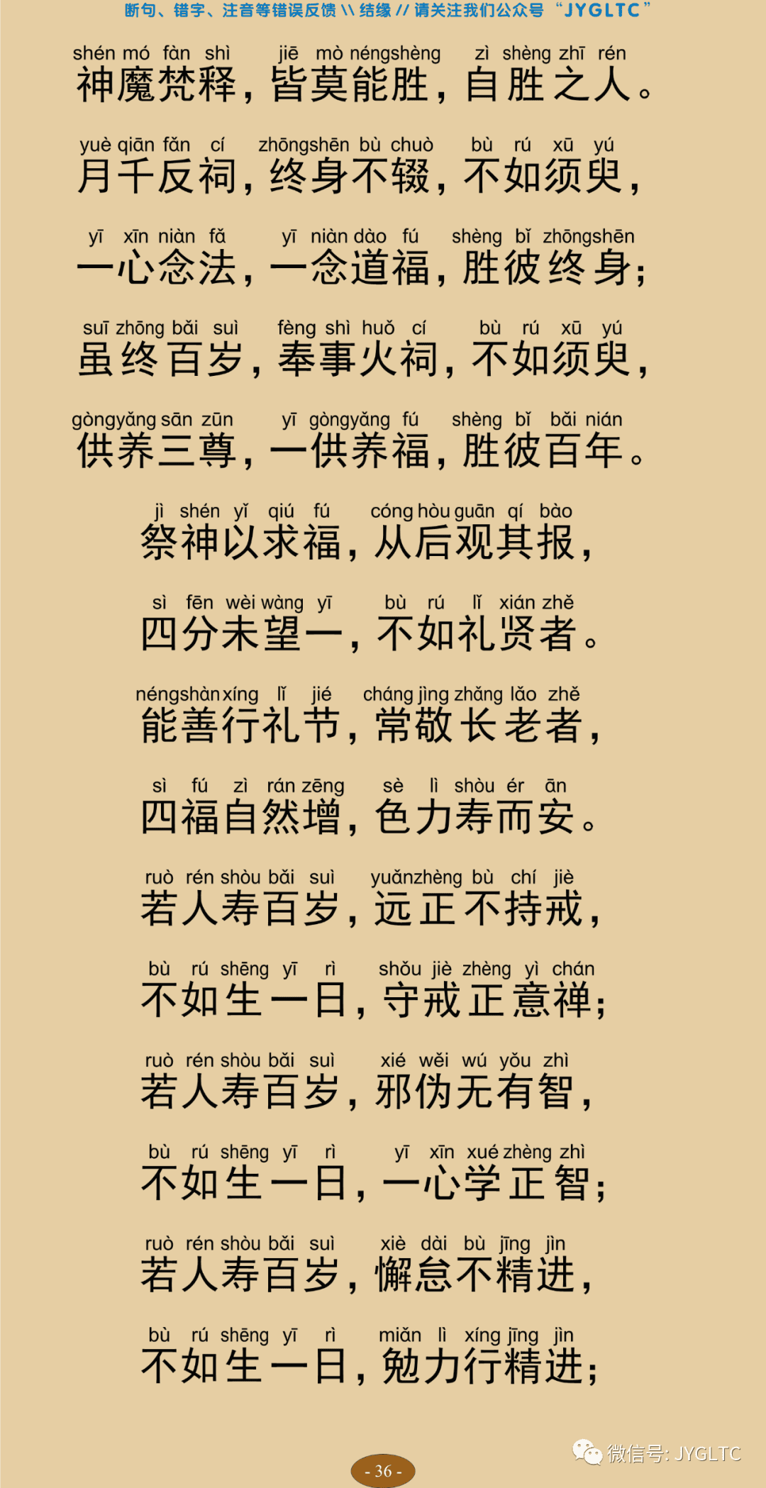 法句经41