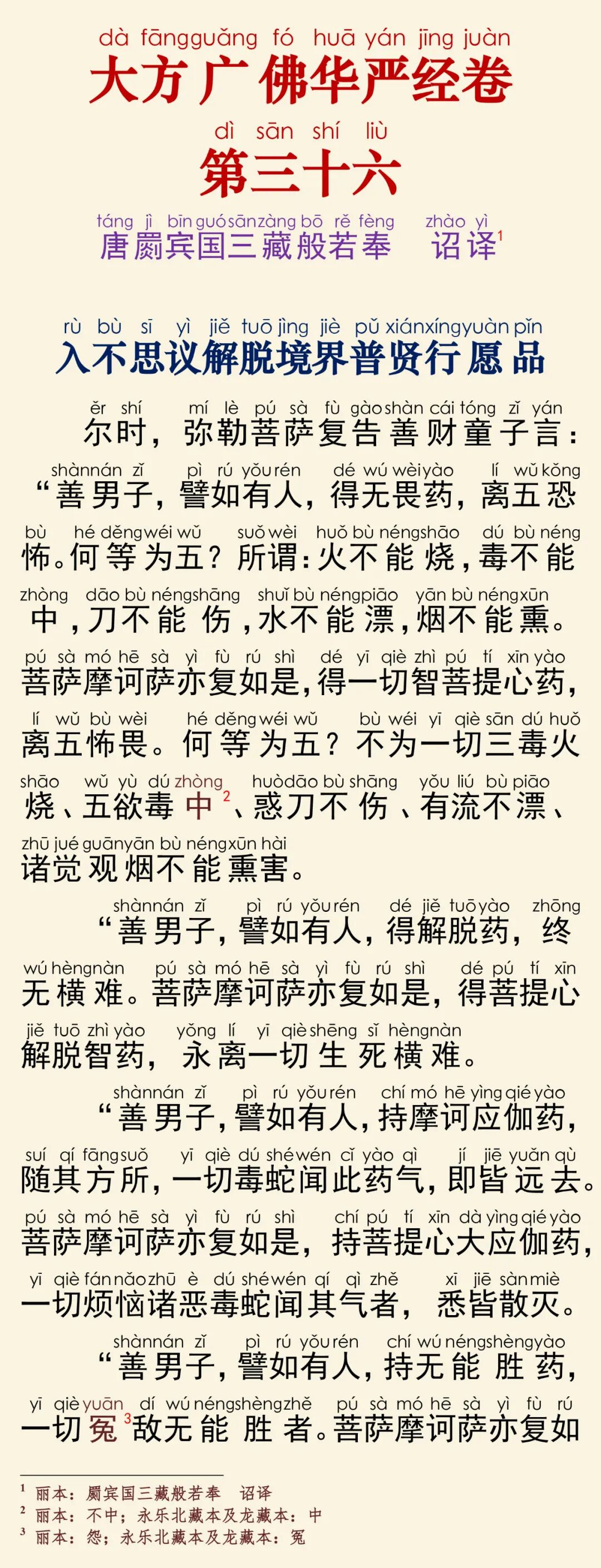 华严经四十卷36-5