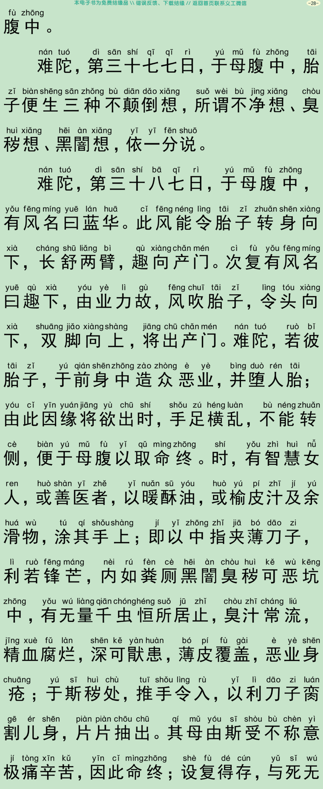 佛说入胎藏经31