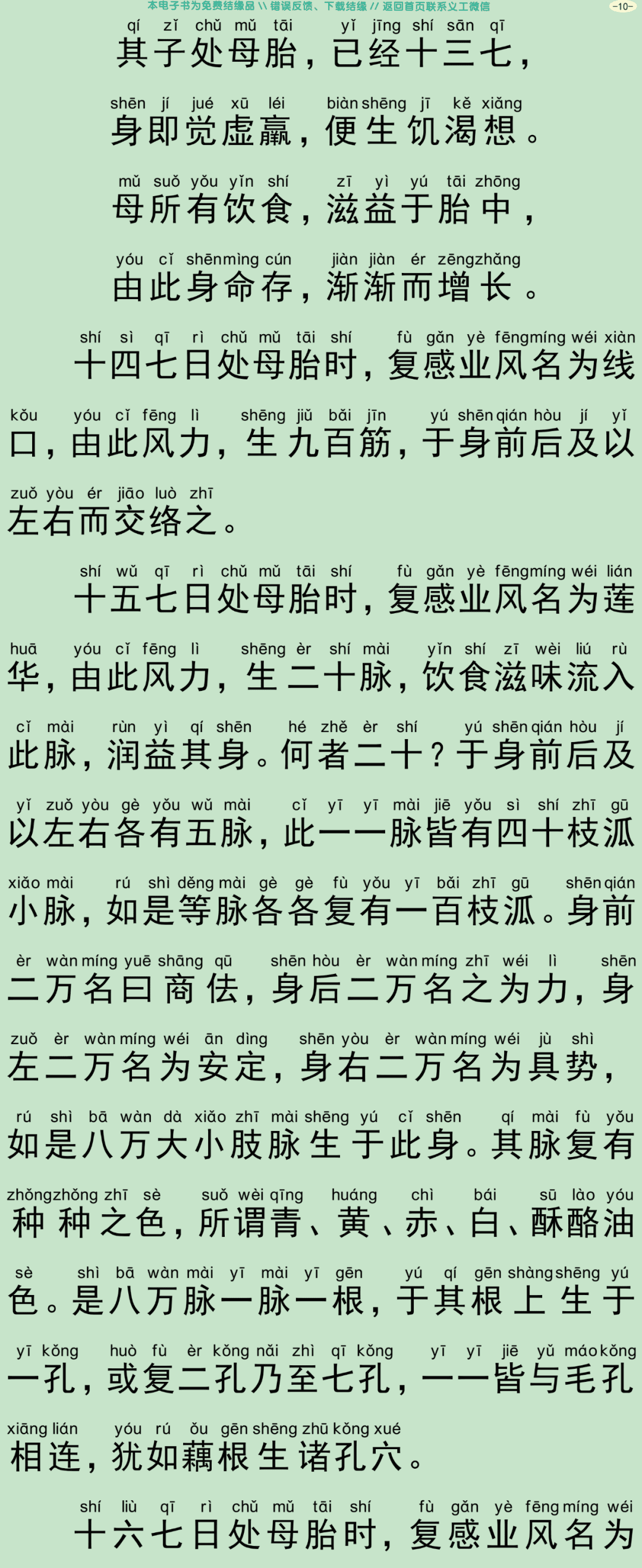 佛为阿难说人处胎经13