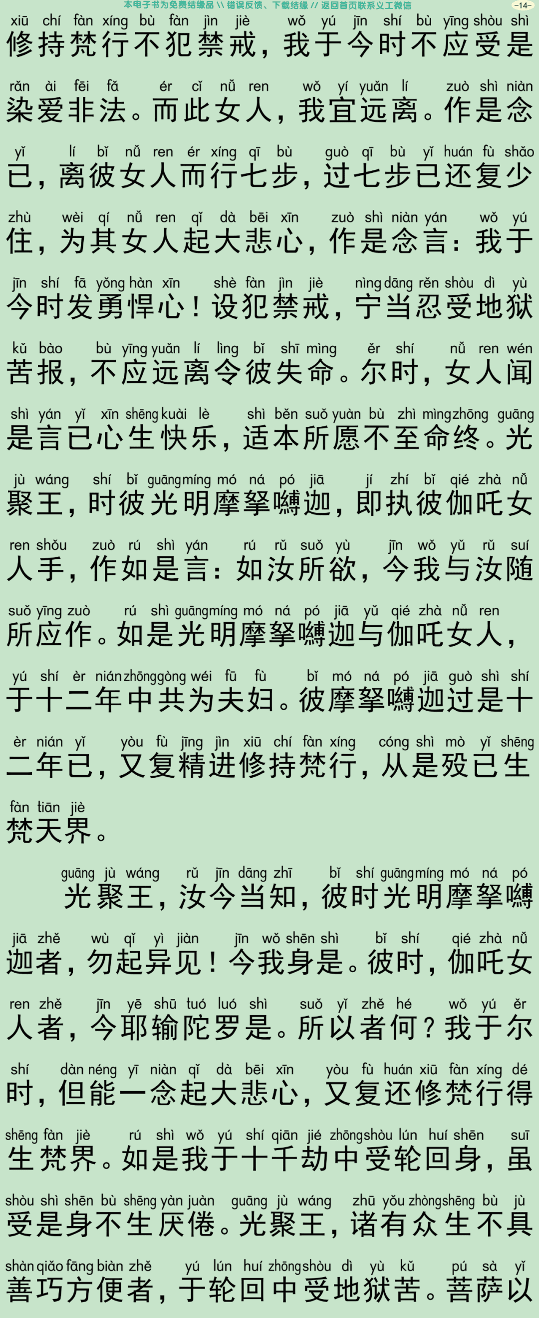 佛说大方广善巧方便经17